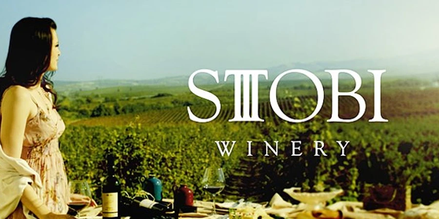 Stobi Wine Tour from Skopje